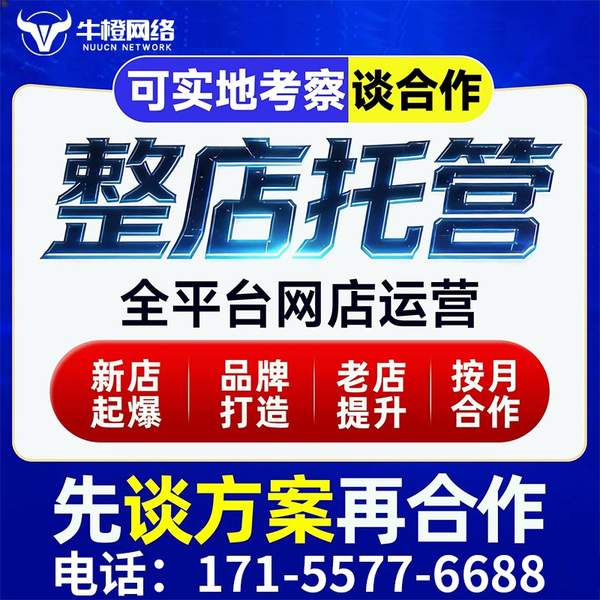 巩义电商代运营