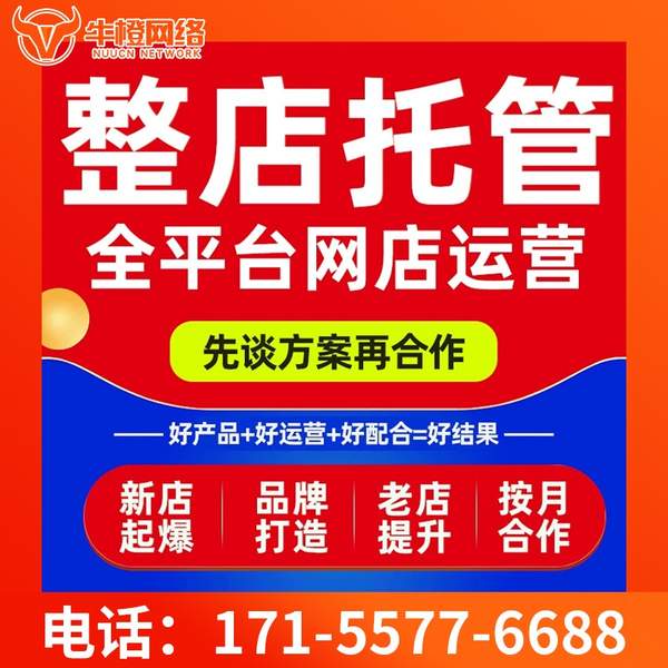 巩义电商代运营