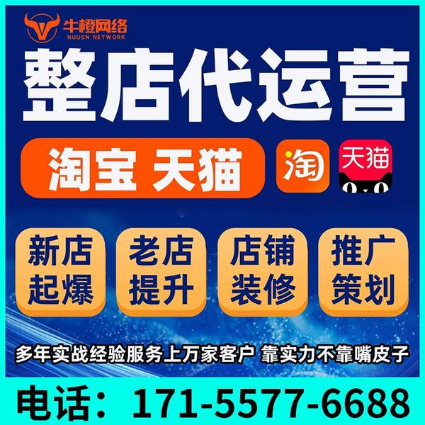 巩义电商代运营