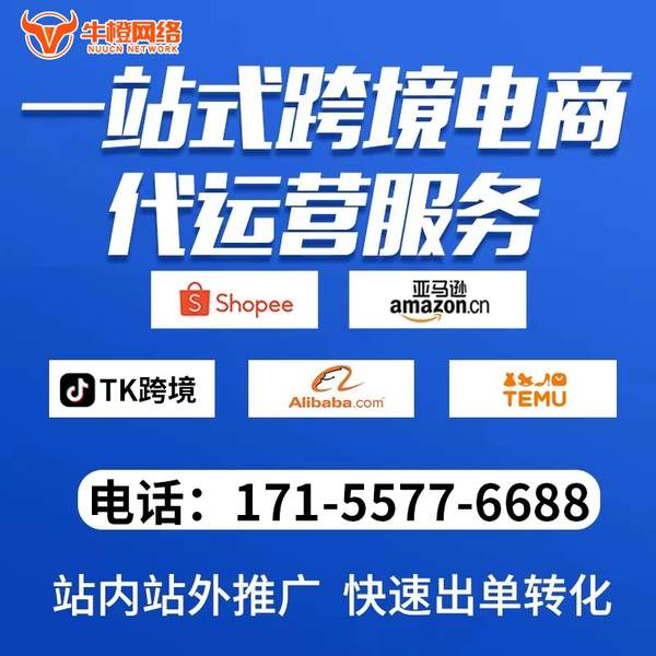 巩义电商代运营
