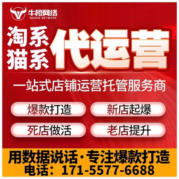 巩义电商代运营
